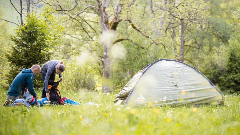 Zelt auf einer grünen Wiese in einem Trekkingcamp im Schwarzwald; zwei Personen räumen ihre Rucksäcke aus und richten sich ein.