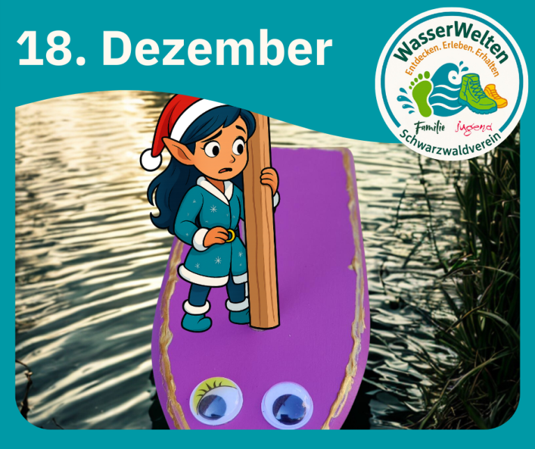Die kleine Weihnachtselfe hält sich mit besorgtem Blick an einem Mast auf einem lila Floß mit Augen fest. – WasserWelten entdecken, erleben, erhalten. Familie und Jugend im Schwarzwaldverein.