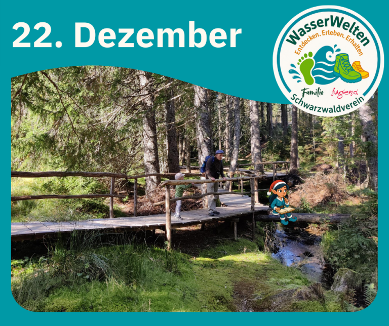 Adventskalender WasserWelten – 22. Dezember 2025