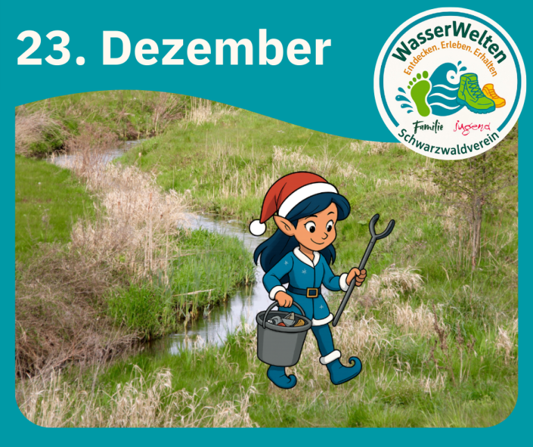 Die kleine Weihnachtselfe sammelt Müll an einem Bach, um unsere WasserWelten zu schützen.