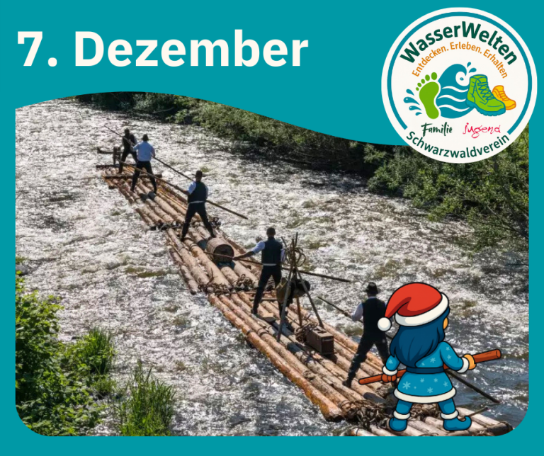 Die kleine Weihnachtselfe paddelt mit auf einem großen Stand-up-Paddling-Floß hinter fünf Männern mit Hüten. Der vorderste Mann steuert das Floß.