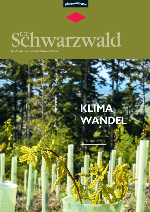 Titelbild Vereinszeitschrift „Der Schwarzwald“ Ausgabe 03/21 – Klimawandel.