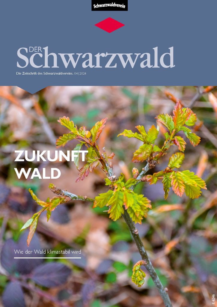 Titelbild Vereinszeitschrift „Der Schwarzwald“ Ausgabe 04/24 – Zukunft Wald.