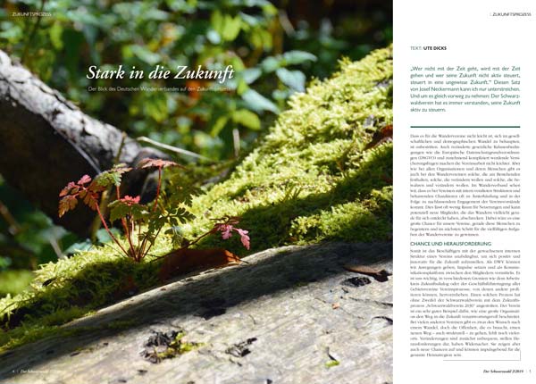 Wegweisend 2030: Schwerpunkt Zukunftsprozess in "Der Schwarzwald" Ausgabe 02/2019